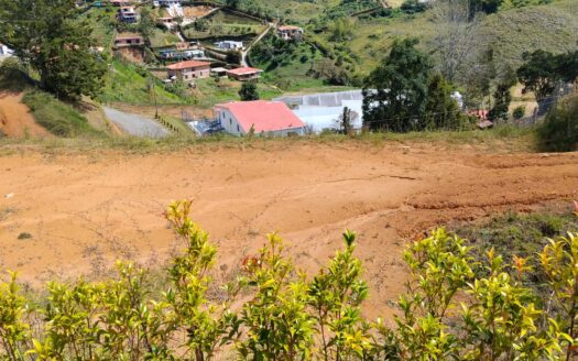 Lote Vereda los Pinos Rionegro